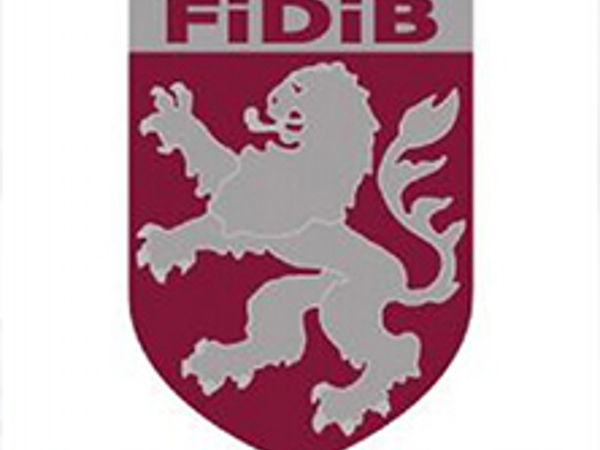 Fidibi.jpeg