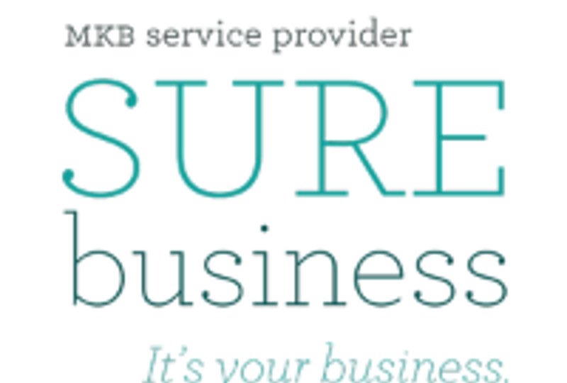 surebusiness.png