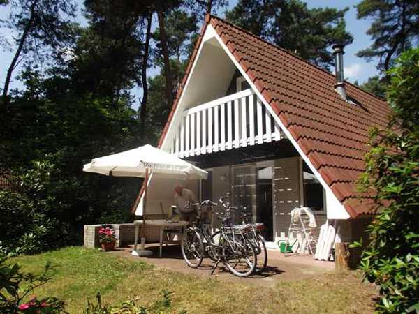bungalow.jpg