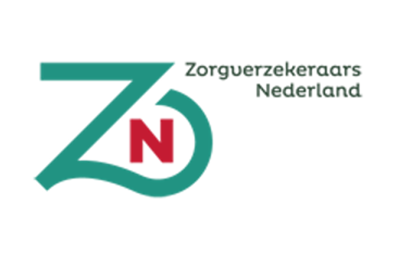 zn logo.png