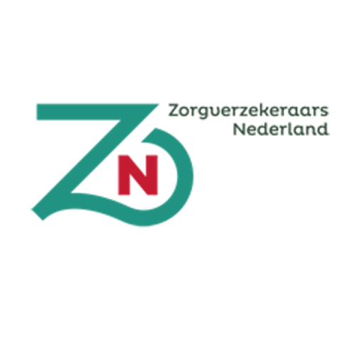 zn logo.png