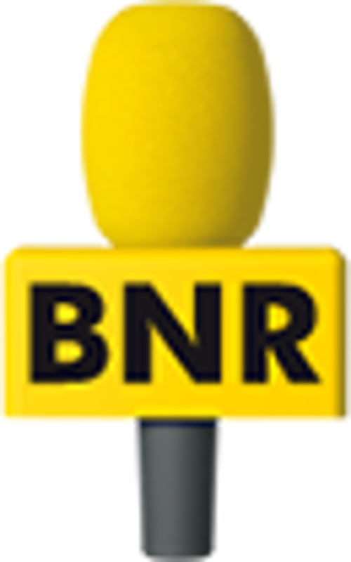 BNR logo65x104.png