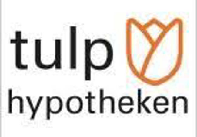 Tulp
