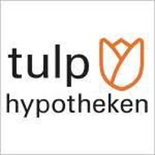 Tulp