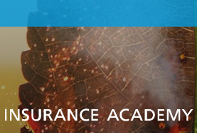 Screenshot 2021 03 25 Livestream Klimaatmonitor