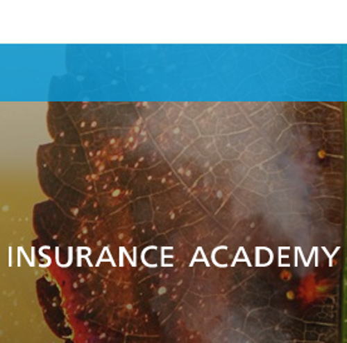 Screenshot 2021 03 25 Livestream Klimaatmonitor