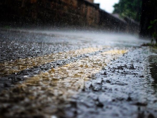 Rain 84648 640