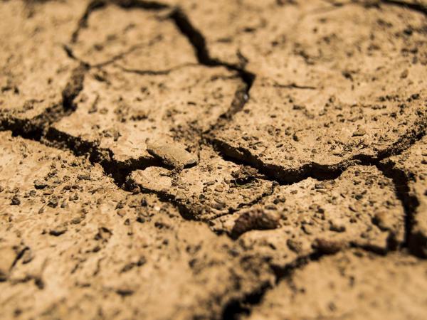 Drought G4809b0413 1280