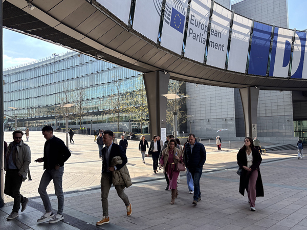 Jong Management Brussel 3