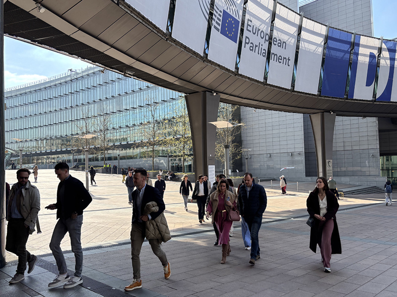 Jong Management Brussel 3