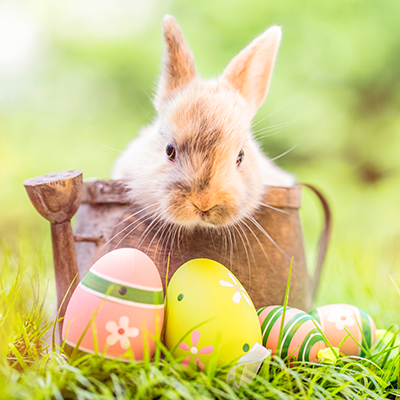 Shutterstock 1926272264