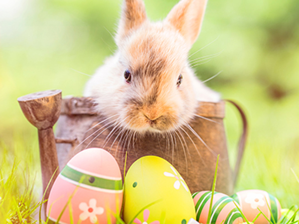 Shutterstock 1926272264