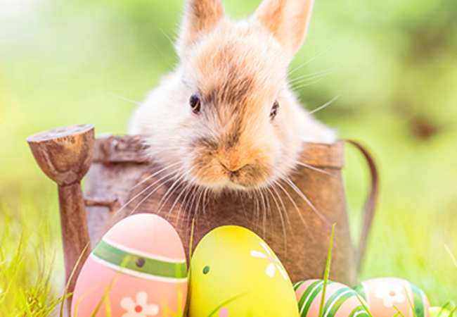 Shutterstock 1926272264