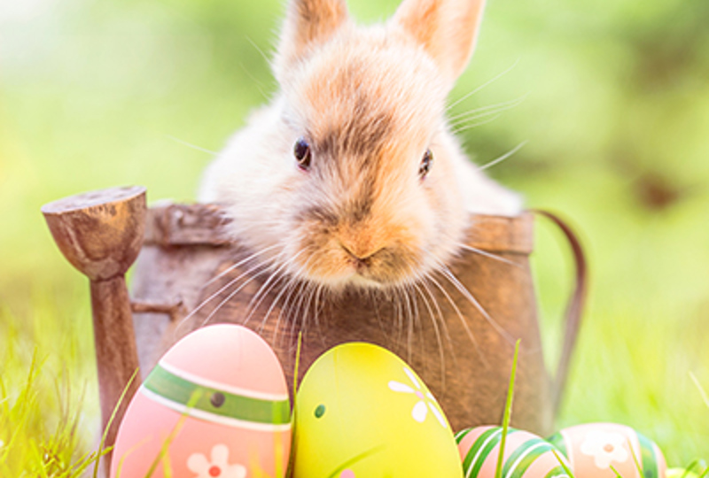 Shutterstock 1926272264