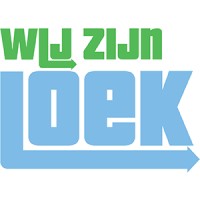Wijzijnloek