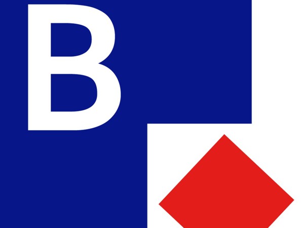 Botsograaf Logo (1)