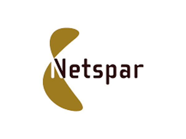 netspar.png