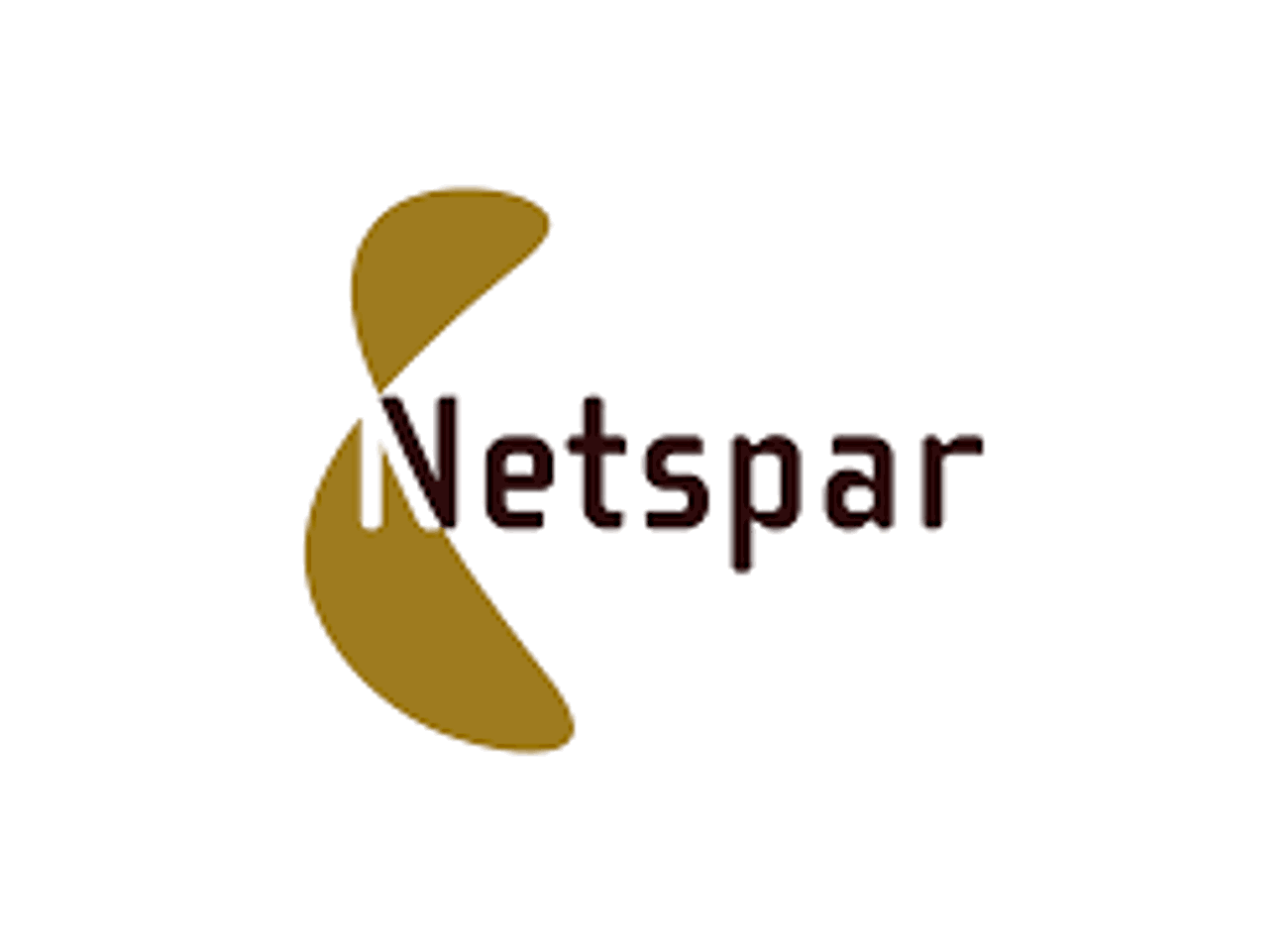 netspar.png