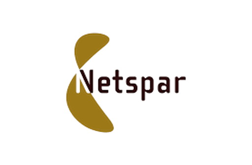 netspar.png