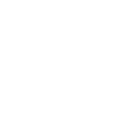 icons-adfiz_Kennisdossier- trans-schadeverzekering.png